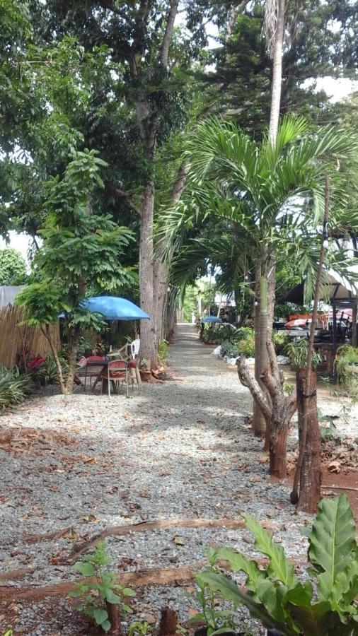 Larmar Bed And Breakfast Puerto Princesa Rum bild