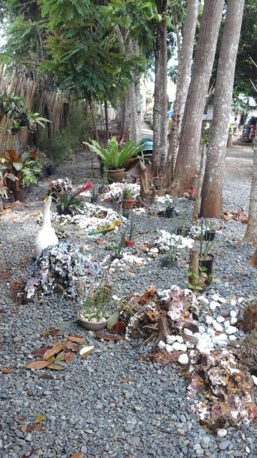 Larmar Bed And Breakfast Puerto Princesa Rum bild